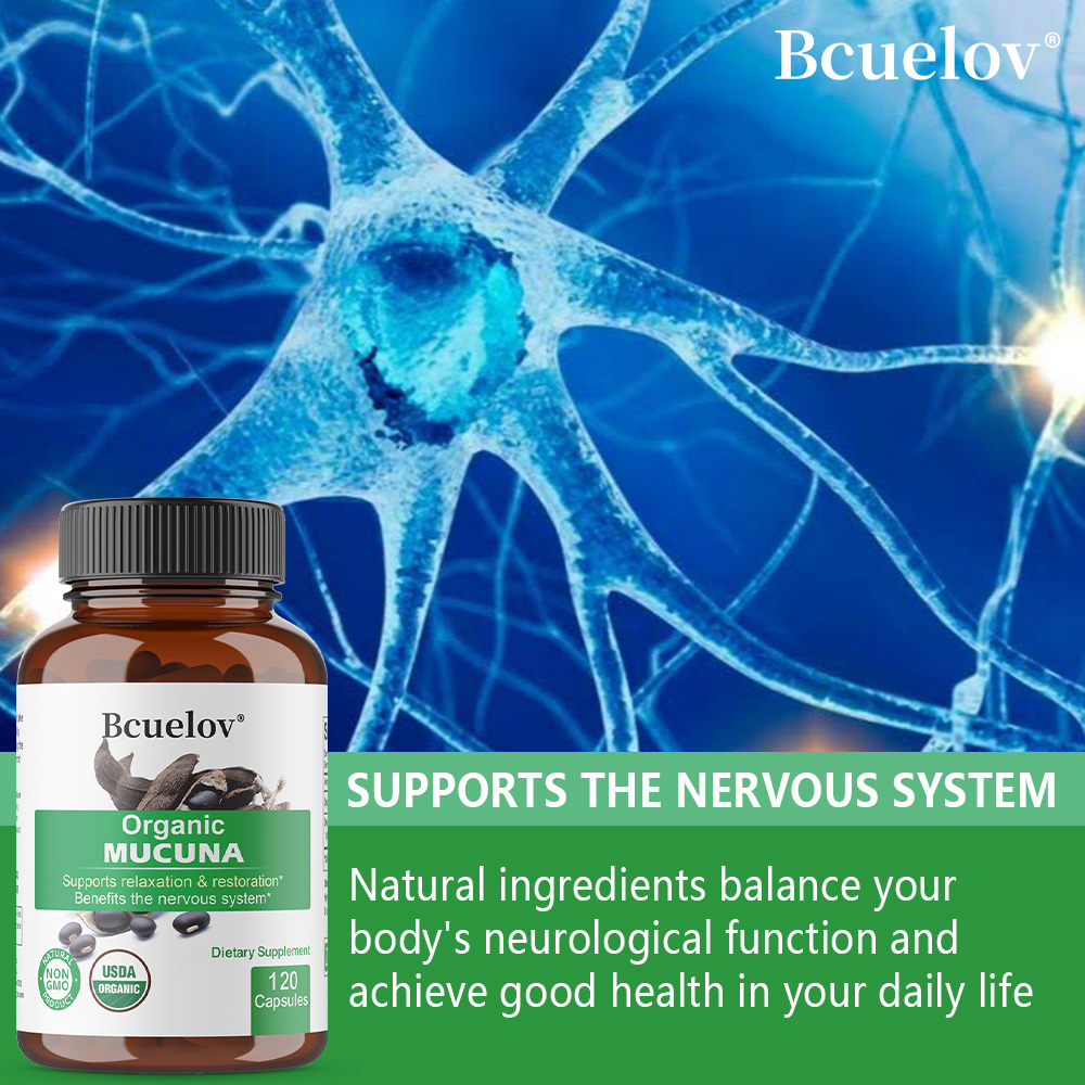 Organic Mucuna Capsules - Supp - Tulsi Holy Basil ulasan dan harga