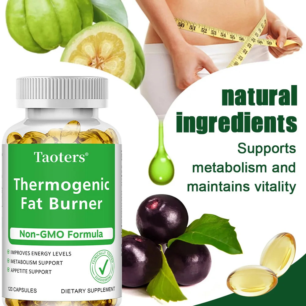 Green Tea Extract - with Apple - Herbal Tea For Wellness ulasan dan harga